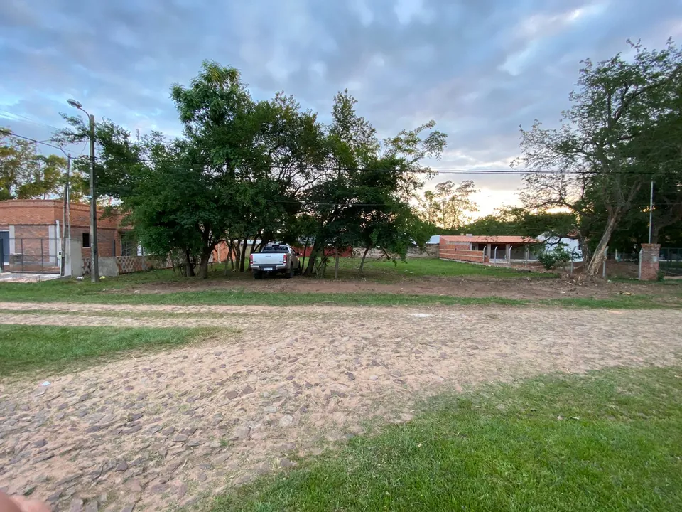 Current street view of the lot, with trees along the front