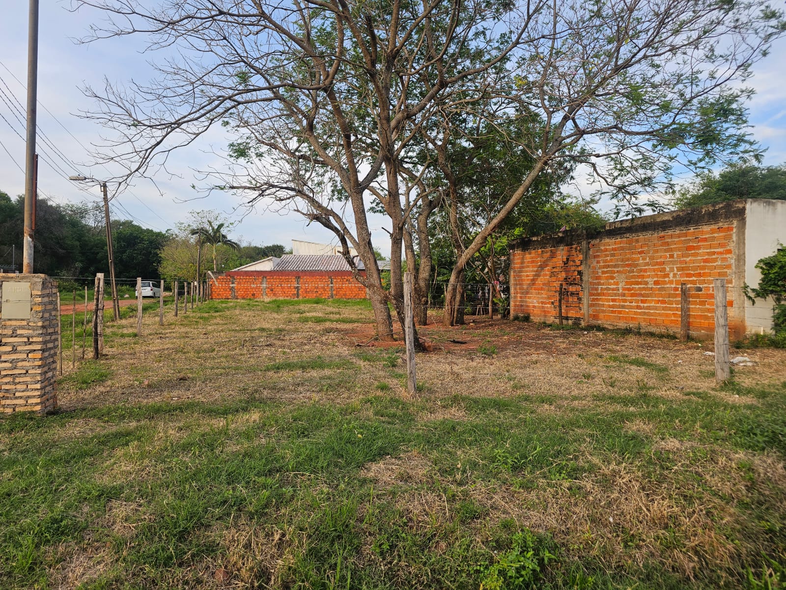 Terreno con pasto y árboles, con un muro de ladrillo y cercado en el entorno, en Limpio
