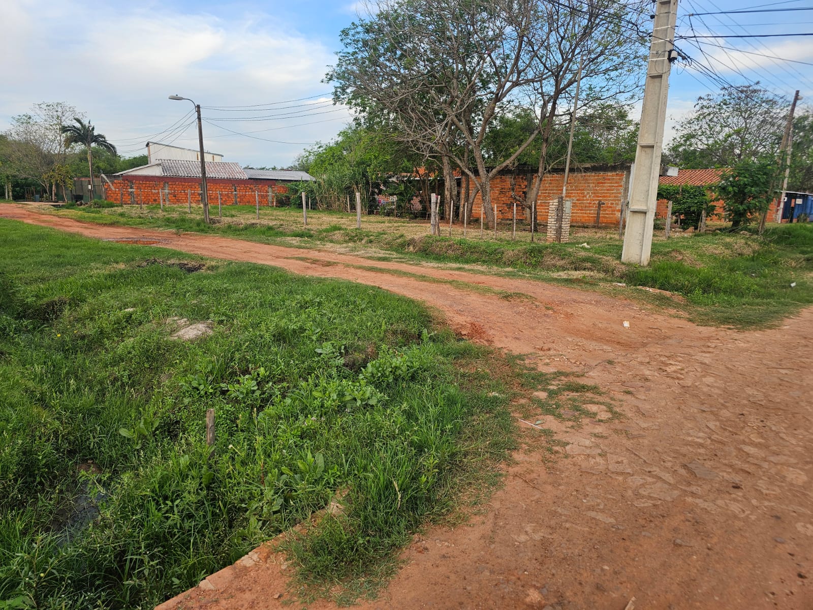Calle de tierra que bordea la esquina del terreno, con pasto en primer plano