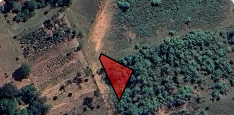 Satellite view of the surroundings with the lot for sale marked in red, next to a dirt road. Image: Google.
